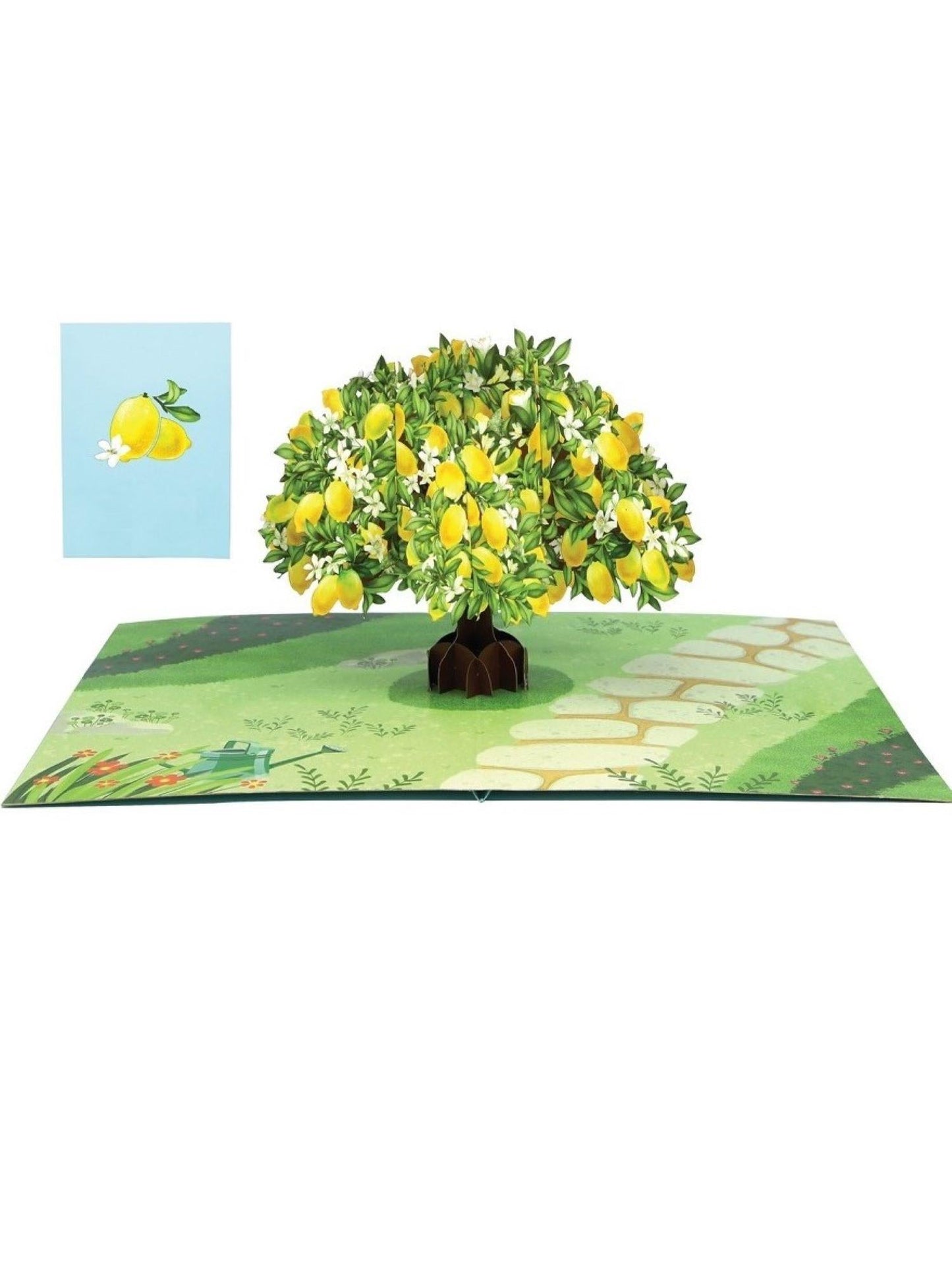 Origamo biglietto di auguri pop up con albero di limoni