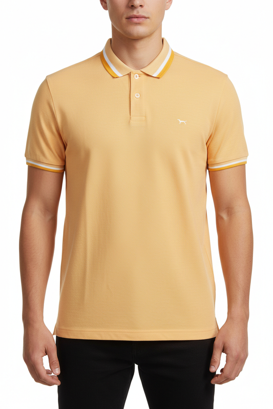 Harmont &Amp; Blaine Polo